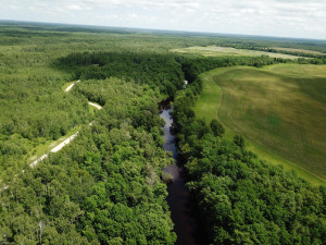 Photo for tbd Cedar Drive SE, Baudette, MN 56623 - Listing #5618955 tbd Cedar Drive SE, Baudette, MN 56623