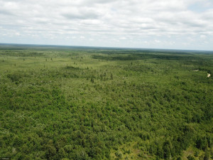 Photo for tbd Cedar Drive SE, Baudette, MN 56623 - Listing #5618955 tbd Cedar Drive SE, Baudette, MN 56623