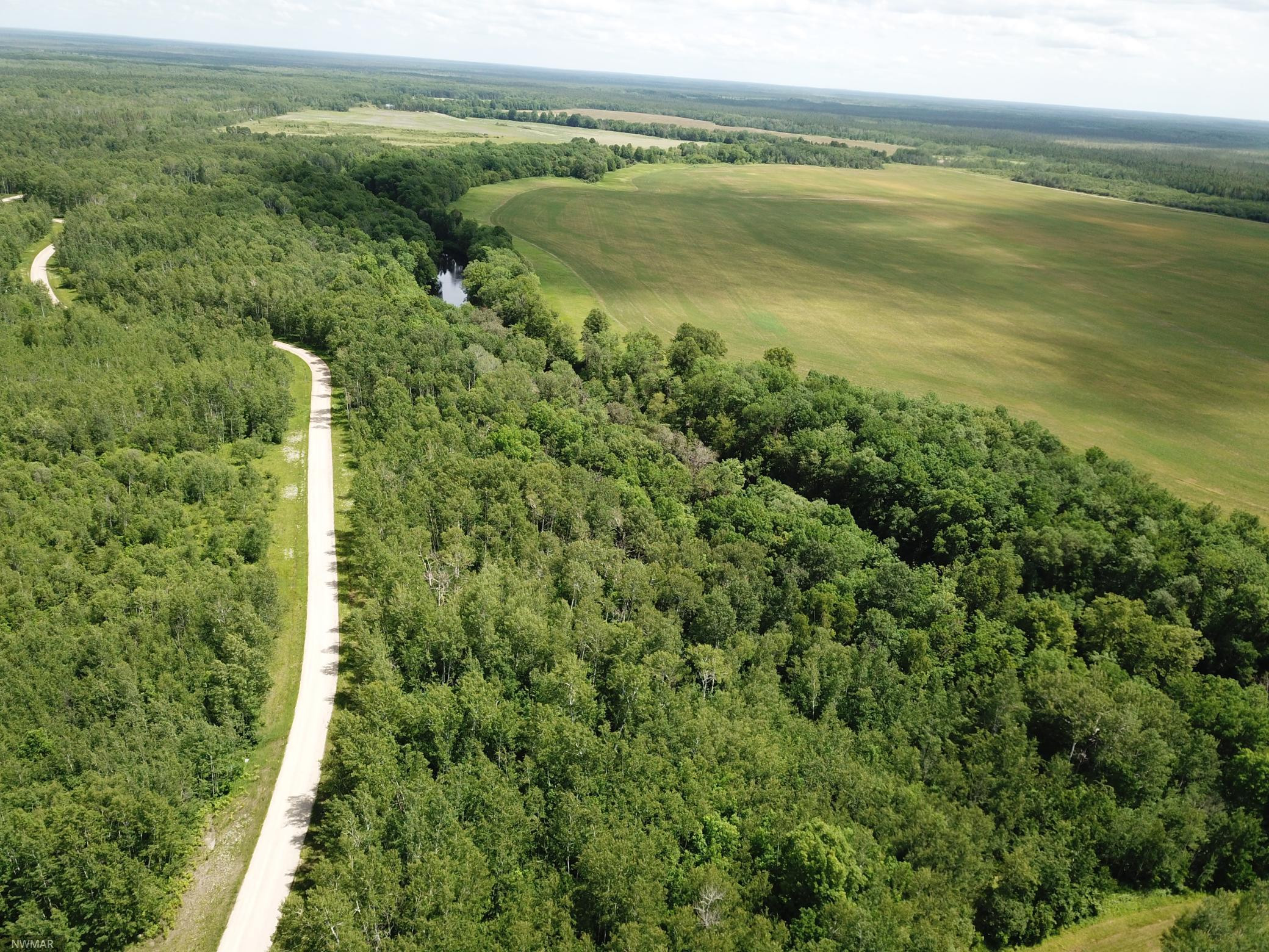 Photo for tbd Cedar Drive SE, Baudette, MN 56623 - Listing #5618955 tbd Cedar Drive SE, Baudette, MN 56623