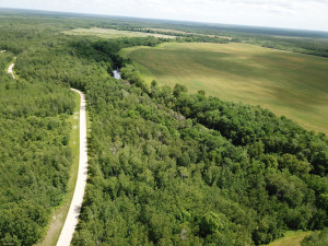 Photo for tbd Cedar Drive SE, Baudette, MN 56623 - Listing #5618955 tbd Cedar Drive SE, Baudette, MN 56623