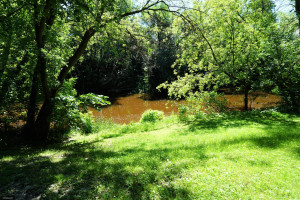 Photo for 706 Main Avenue N, Roseau, MN 56751 - Listing #5619848 706 Main Avenue N, Roseau, MN 56751