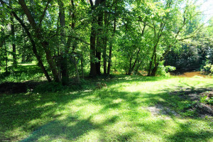 Photo for 706 Main Avenue N, Roseau, MN 56751 - Listing #5619848 706 Main Avenue N, Roseau, MN 56751