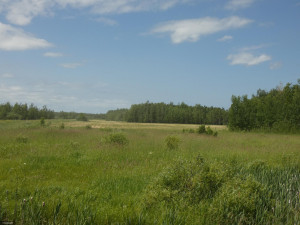 Photo for TBD Tamarack Drive SE, Baudette, MN 56623 - Listing #5619134 TBD Tamarack Drive SE, Baudette, MN 56623