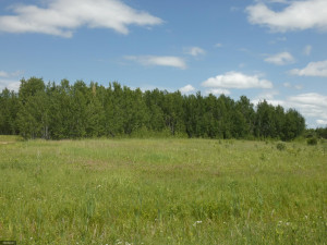Photo for TBD Tamarack Drive SE, Baudette, MN 56623 - Listing #5619134 TBD Tamarack Drive SE, Baudette, MN 56623