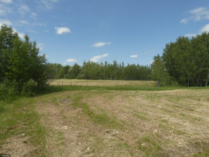 Photo for TBD Tamarack Drive SE, Baudette, MN 56623 - Listing #5619134 TBD Tamarack Drive SE, Baudette, MN 56623