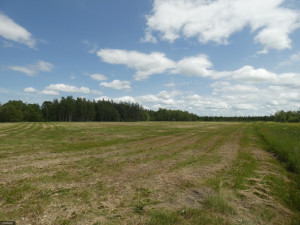 Photo for TBD Tamarack Drive SE, Baudette, MN 56623 - Listing #5619134 TBD Tamarack Drive SE, Baudette, MN 56623