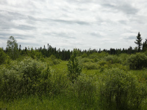 Photo for TBD Tamarack Drive SE, Baudette, MN 56623 - Listing #5619134 TBD Tamarack Drive SE, Baudette, MN 56623