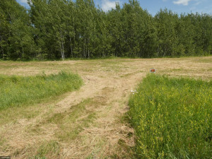 Photo for TBD Tamarack Drive SE, Baudette, MN 56623 - Listing #5619134 TBD Tamarack Drive SE, Baudette, MN 56623