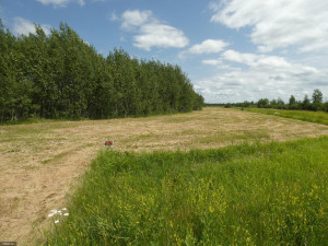 Photo for TBD Tamarack Drive SE, Baudette, MN 56623 - Listing #5619134 TBD Tamarack Drive SE, Baudette, MN 56623