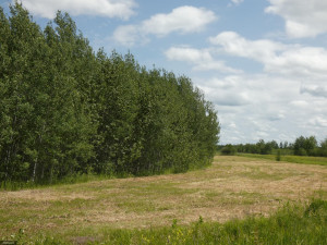 Photo for TBD Tamarack Drive SE, Baudette, MN 56623 - Listing #5619134 TBD Tamarack Drive SE, Baudette, MN 56623