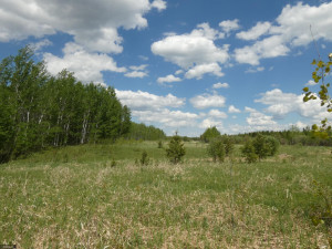 Photo for TBD Tamarack Drive SE, Baudette, MN 56623 - Listing #5619134 TBD Tamarack Drive SE, Baudette, MN 56623