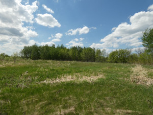 Photo for TBD Tamarack Drive SE, Baudette, MN 56623 - Listing #5619134 TBD Tamarack Drive SE, Baudette, MN 56623