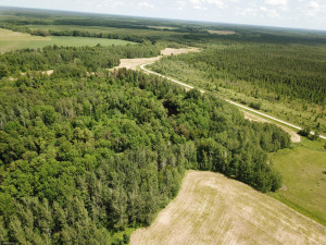 Photo for TBD Tamarack Drive SE, Baudette, MN 56623 - Listing #5619134 TBD Tamarack Drive SE, Baudette, MN 56623