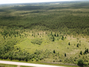 Photo for TBD Tamarack Drive SE, Baudette, MN 56623 - Listing #5619134 TBD Tamarack Drive SE, Baudette, MN 56623