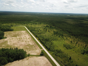 Photo for TBD Tamarack Drive SE, Baudette, MN 56623 - Listing #5619134 TBD Tamarack Drive SE, Baudette, MN 56623