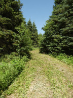 Photo for TBD Tamarack Drive SE, Baudette, MN 56623 - Listing #5619051 TBD Tamarack Drive SE, Baudette, MN 56623