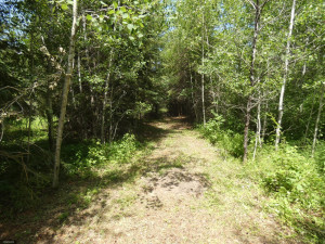 Photo for TBD Tamarack Drive SE, Baudette, MN 56623 - Listing #5619051 TBD Tamarack Drive SE, Baudette, MN 56623