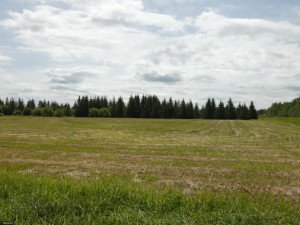 Photo for TBD Tamarack Drive SE, Baudette, MN 56623 - Listing #5619051 TBD Tamarack Drive SE, Baudette, MN 56623