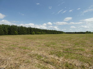 Photo for TBD Tamarack Drive SE, Baudette, MN 56623 - Listing #5619051 TBD Tamarack Drive SE, Baudette, MN 56623