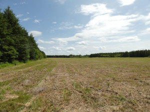 Photo for TBD Tamarack Drive SE, Baudette, MN 56623 - Listing #5619051 TBD Tamarack Drive SE, Baudette, MN 56623