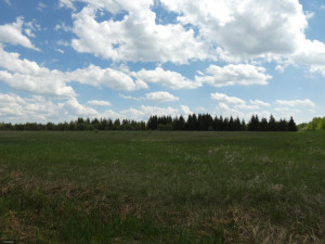Photo for TBD Tamarack Drive SE, Baudette, MN 56623 - Listing #5619051 TBD Tamarack Drive SE, Baudette, MN 56623