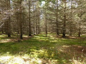 Photo for TBD Tamarack Drive SE, Baudette, MN 56623 - Listing #5619051 TBD Tamarack Drive SE, Baudette, MN 56623