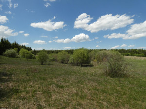 Photo for TBD Tamarack Drive SE, Baudette, MN 56623 - Listing #5619051 TBD Tamarack Drive SE, Baudette, MN 56623
