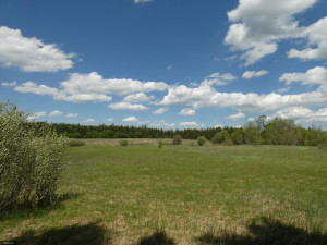 Photo for TBD Tamarack Drive SE, Baudette, MN 56623 - Listing #5619051 TBD Tamarack Drive SE, Baudette, MN 56623
