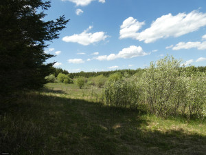 Photo for TBD Tamarack Drive SE, Baudette, MN 56623 - Listing #5619051 TBD Tamarack Drive SE, Baudette, MN 56623