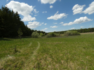 Photo for TBD Tamarack Drive SE, Baudette, MN 56623 - Listing #5619051 TBD Tamarack Drive SE, Baudette, MN 56623