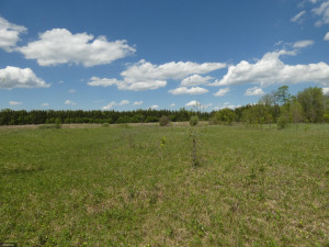 Photo for TBD Tamarack Drive SE, Baudette, MN 56623 - Listing #5619051 TBD Tamarack Drive SE, Baudette, MN 56623