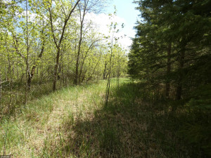 Photo for TBD Tamarack Drive SE, Baudette, MN 56623 - Listing #5619051 TBD Tamarack Drive SE, Baudette, MN 56623