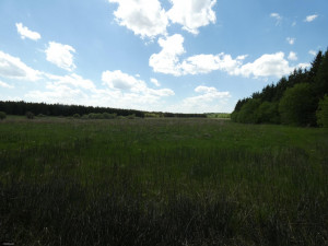 Photo for TBD Tamarack Drive SE, Baudette, MN 56623 - Listing #5619051 TBD Tamarack Drive SE, Baudette, MN 56623