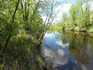 Photo for TBD Tamarack Drive SE, Baudette, MN 56623 - Listing #5619051 TBD Tamarack Drive SE, Baudette, MN 56623