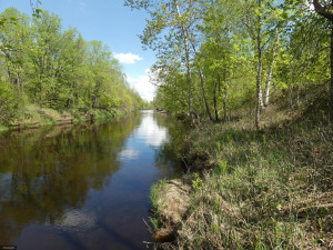 Photo for TBD Tamarack Drive SE, Baudette, MN 56623 - Listing #5619051 TBD Tamarack Drive SE, Baudette, MN 56623