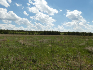 Photo for TBD Tamarack Drive SE, Baudette, MN 56623 - Listing #5619051 TBD Tamarack Drive SE, Baudette, MN 56623