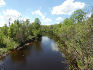 Photo for TBD Tamarack Drive SE, Baudette, MN 56623 - Listing #5619051 TBD Tamarack Drive SE, Baudette, MN 56623