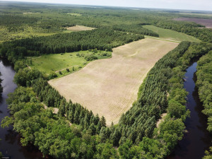 Photo for TBD Tamarack Drive SE, Baudette, MN 56623 - Listing #5619051 TBD Tamarack Drive SE, Baudette, MN 56623