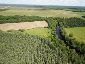 Photo for TBD Tamarack Drive SE, Baudette, MN 56623 - Listing #5619051 TBD Tamarack Drive SE, Baudette, MN 56623