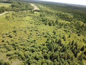 Photo for TBD Tamarack Drive SE, Baudette, MN 56623 - Listing #5619051 TBD Tamarack Drive SE, Baudette, MN 56623