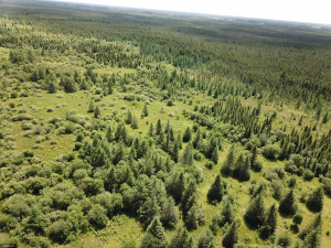 Photo for TBD Tamarack Drive SE, Baudette, MN 56623 - Listing #5619051 TBD Tamarack Drive SE, Baudette, MN 56623