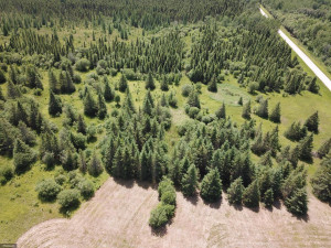 Photo for TBD Tamarack Drive SE, Baudette, MN 56623 - Listing #5619051 TBD Tamarack Drive SE, Baudette, MN 56623