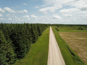 Photo for TBD Tamarack Drive SE, Baudette, MN 56623 - Listing #5619051 TBD Tamarack Drive SE, Baudette, MN 56623