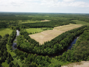 Photo for TBD Tamarack Drive SE, Baudette, MN 56623 - Listing #5619051 TBD Tamarack Drive SE, Baudette, MN 56623