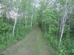Photo for 3012 Highway 11 SE, Baudette, MN 56623 - Listing #5620309 3012 Highway 11 SE, Baudette, MN 56623