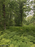 Photo for TBD Birch Circle NW, Baudette, MN 56623 - Listing #5621568 TBD Birch Circle NW, Baudette, MN 56623