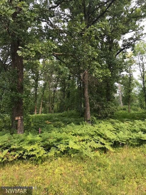 Photo for TBD Birch Circle NW, Baudette, MN 56623 - Listing #5621568 TBD Birch Circle NW, Baudette, MN 56623