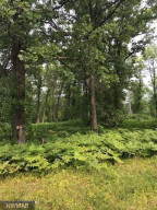 Photo for TBD Birch Circle NW, Baudette, MN 56623 - Listing #5621568 TBD Birch Circle NW, Baudette, MN 56623