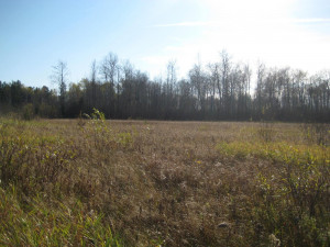 Photo for TBD Bankton Road SW, Baudette, MN 56623 - Listing #5586211 TBD Bankton Road SW, Baudette, MN 56623