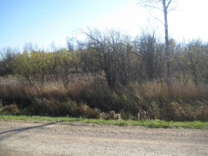 Photo for TBD Bankton Road SW, Baudette, MN 56623 - Listing #5586211 TBD Bankton Road SW, Baudette, MN 56623